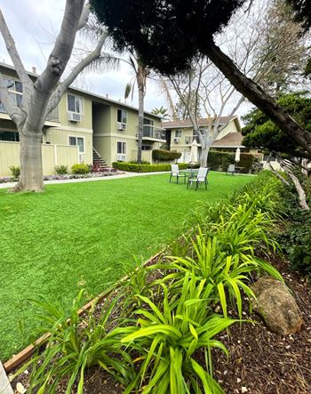 a yard with green grass and trees in front of a building